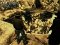 Call of Juarez Bound in Blood Thumb